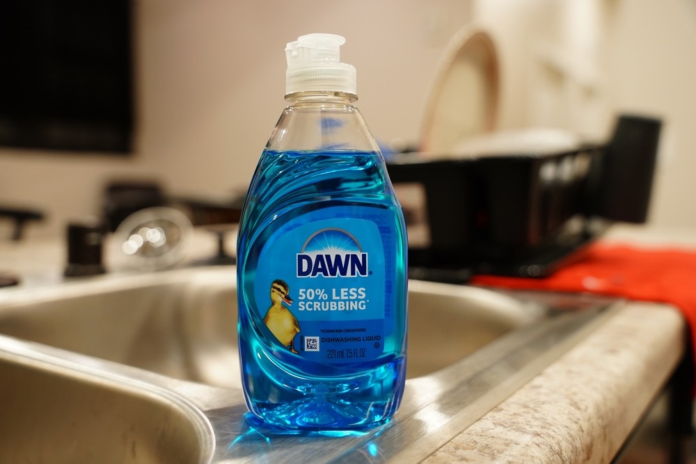 Dish Soap