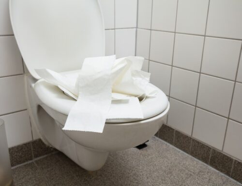 6 DIY Methods To Unclog a Toilet